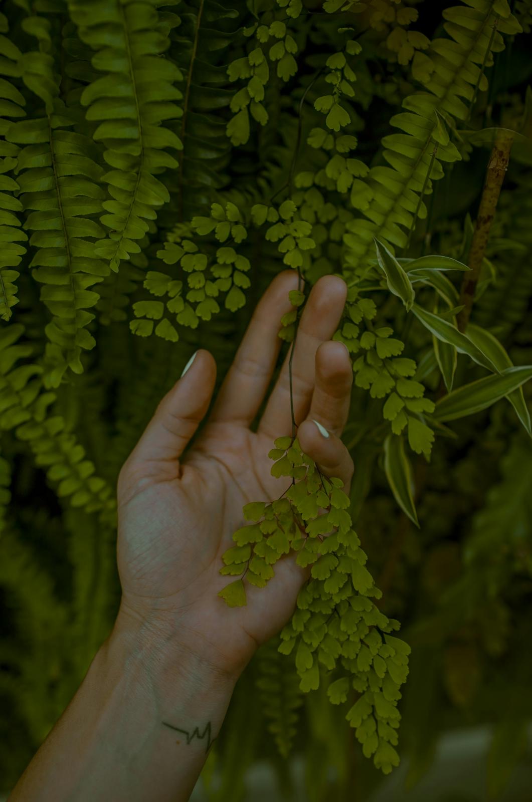 unnamed image